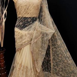KanjiQueen Embroidered Bollywood Net Saree (Beige)
