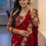 jashvicreation Embroidered, Embellished Bollywood Georgette Saree (Red)