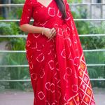 Divyam Printed Handloom Pure Cotton Saree (Red)
